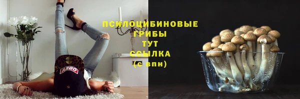 трава Богданович