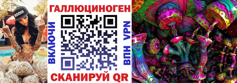 Галлюциногенные грибы Psilocybe  Купить где  Курлово 