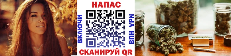 Каннабис конопля Курлово